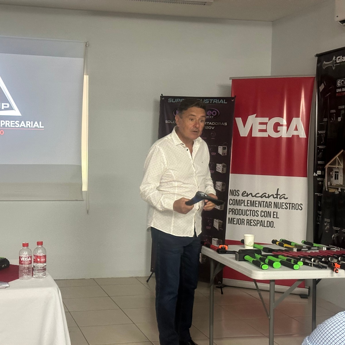 Vega Galeria 17