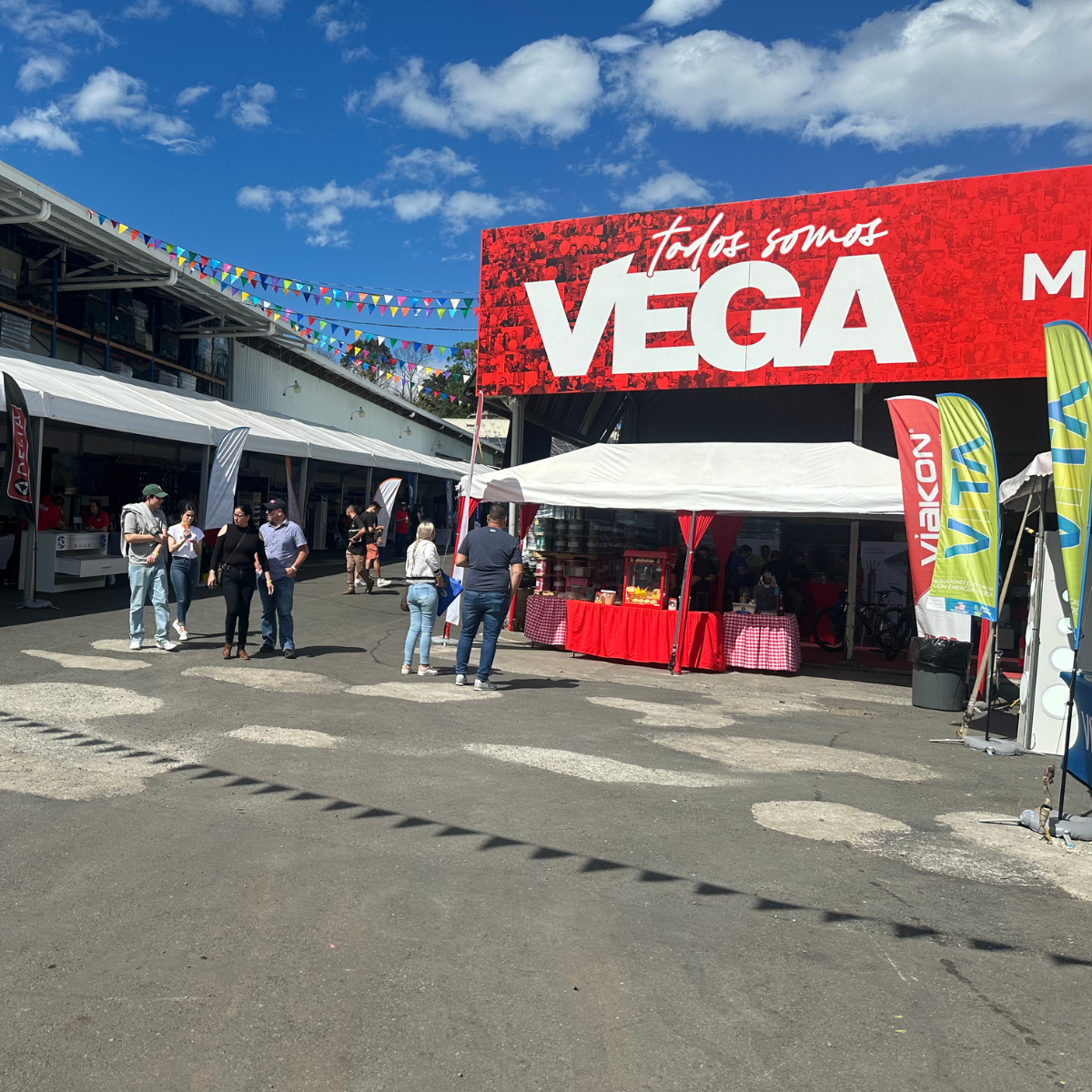 Vega Galeria10