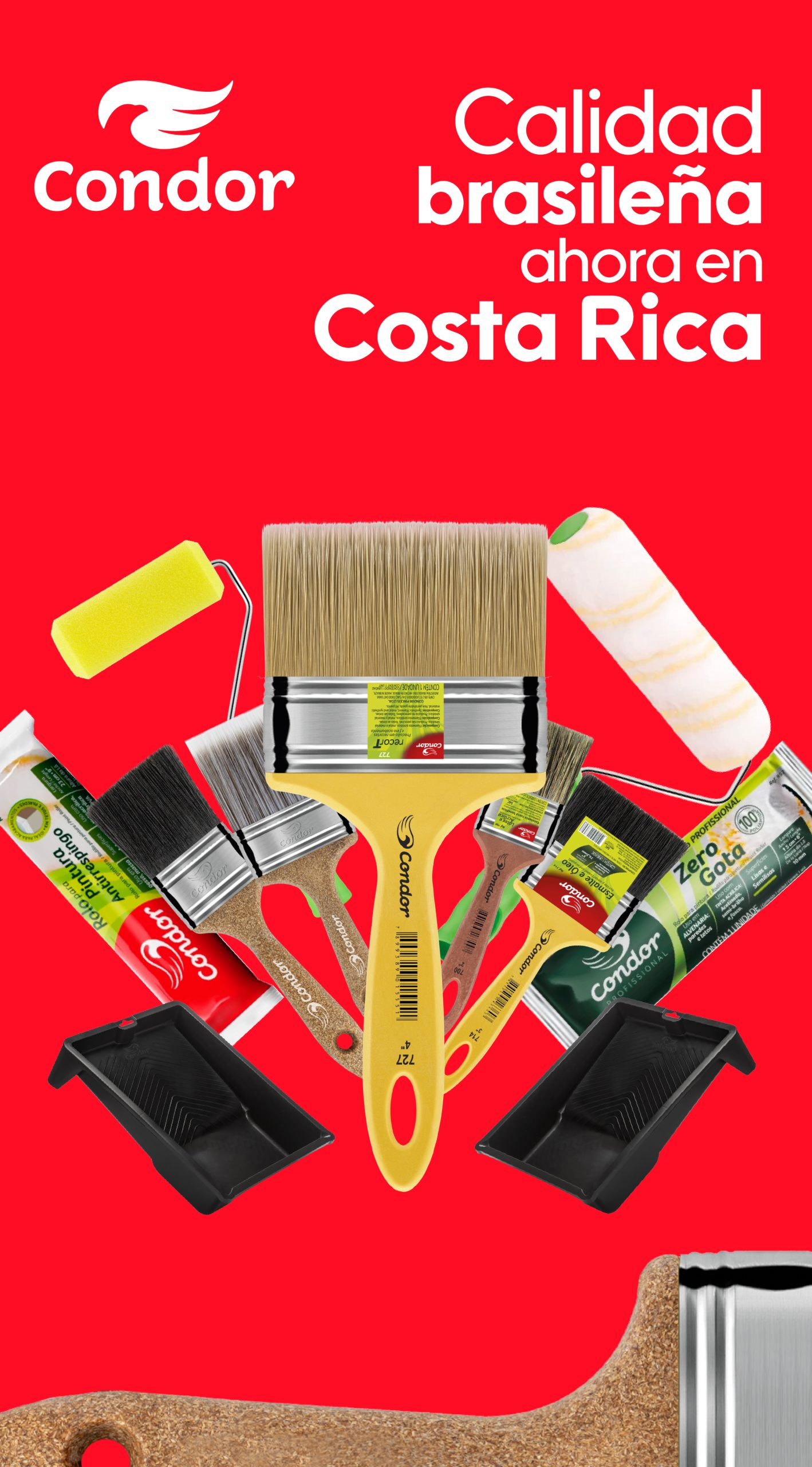 CONDOR REVISTA 1080X1950-03