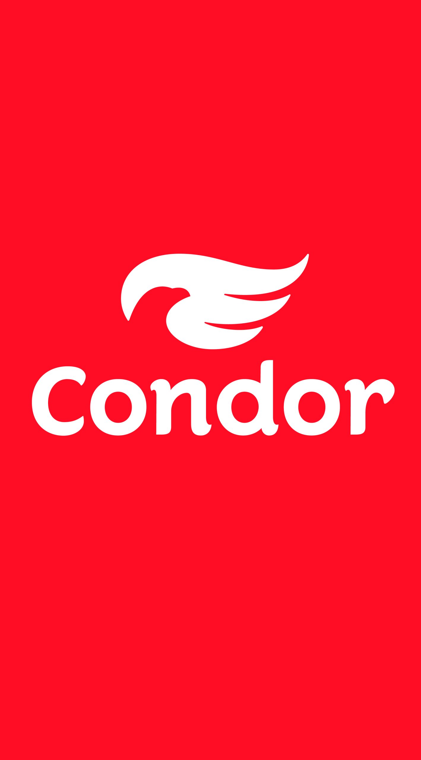 CONDOR REVISTA 1080X1950-04